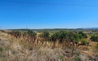 Teren intravilan 14.168 mp – pozitie excelenta la intrarea in Braila - Poză 7