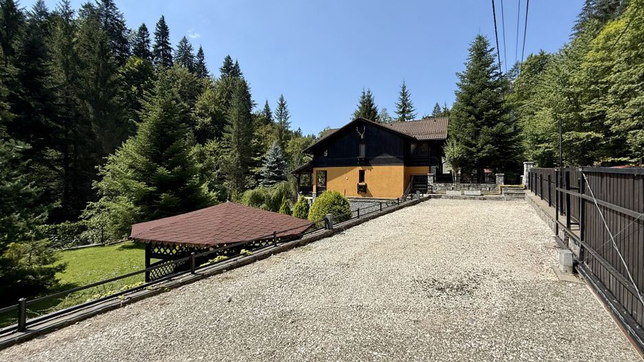 Vila de exceptie in Sinaia, mobilata, utilata, cu vedere superba - Poză 30