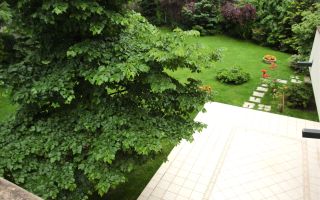 Vila impresionantă cu 15 camere, situată în zona Barbu Văcărescu - Poză 15