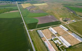 Teren Intravilan Investiții 11.600 mp Salonta - Poză 4