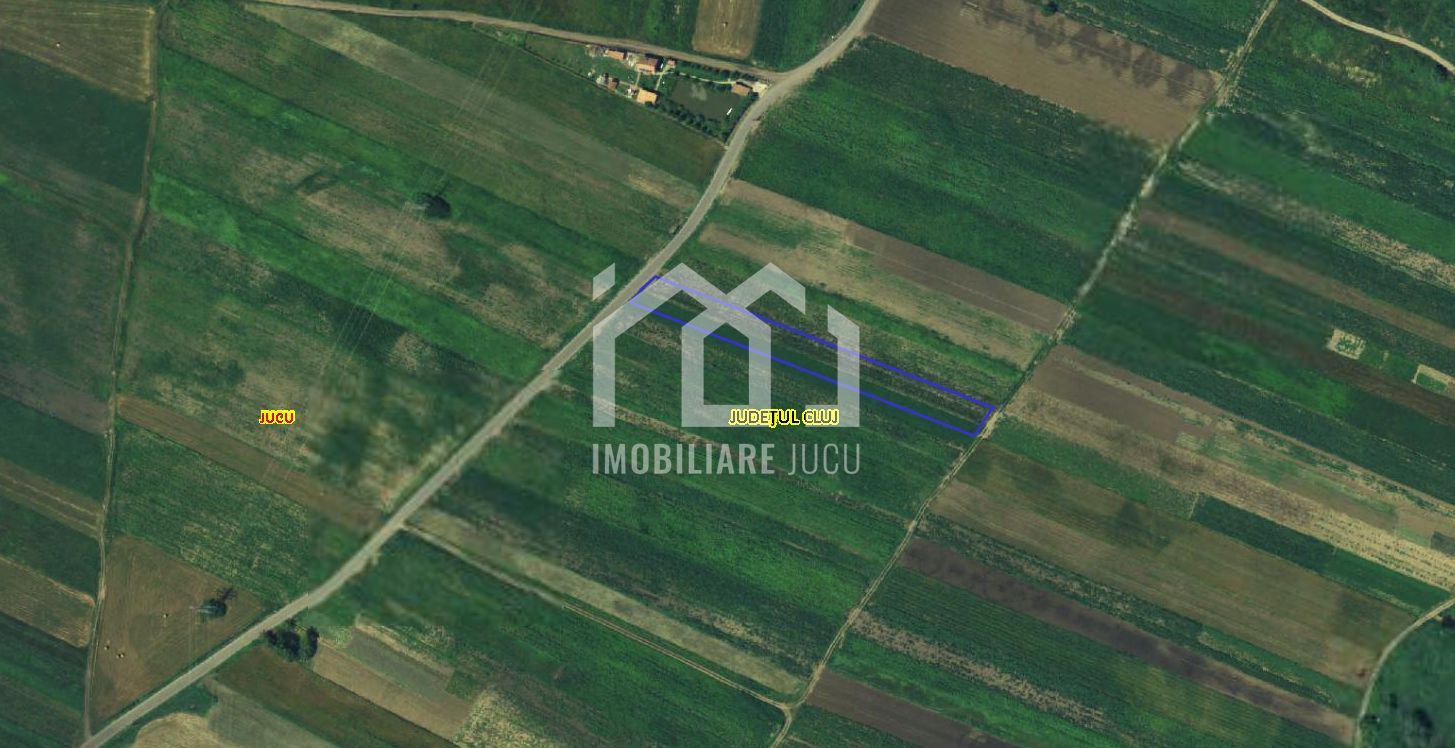 Teren Intravilan 3.400 mp – Jucu de Mijloc - Poză 1