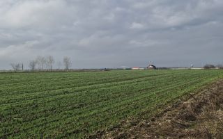 🔹Teren 14377 mp Odai / Otopeni /🔹 - Poză 1