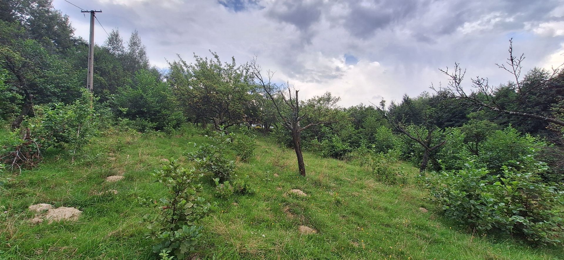 Bran-Predelut doua parcele de 2000+3000mp pret 25 euro/mp - Poză 3