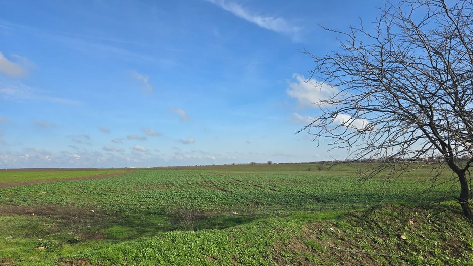 Teren intravilan 20.000 mp - Fundeni - Poză 3