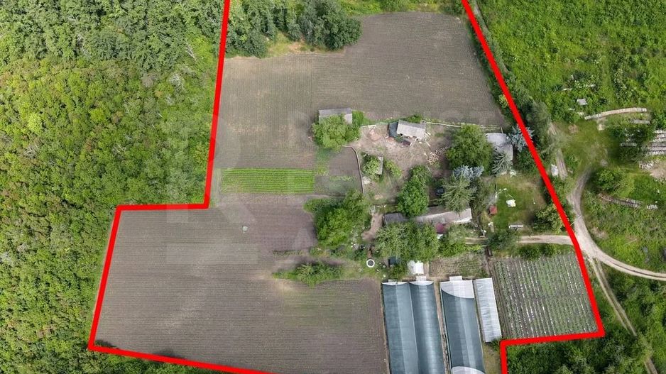 Vânzare, teren, 1.74 ha, satul Bilicenii Noi, raionul Sîngerei - Poză 7