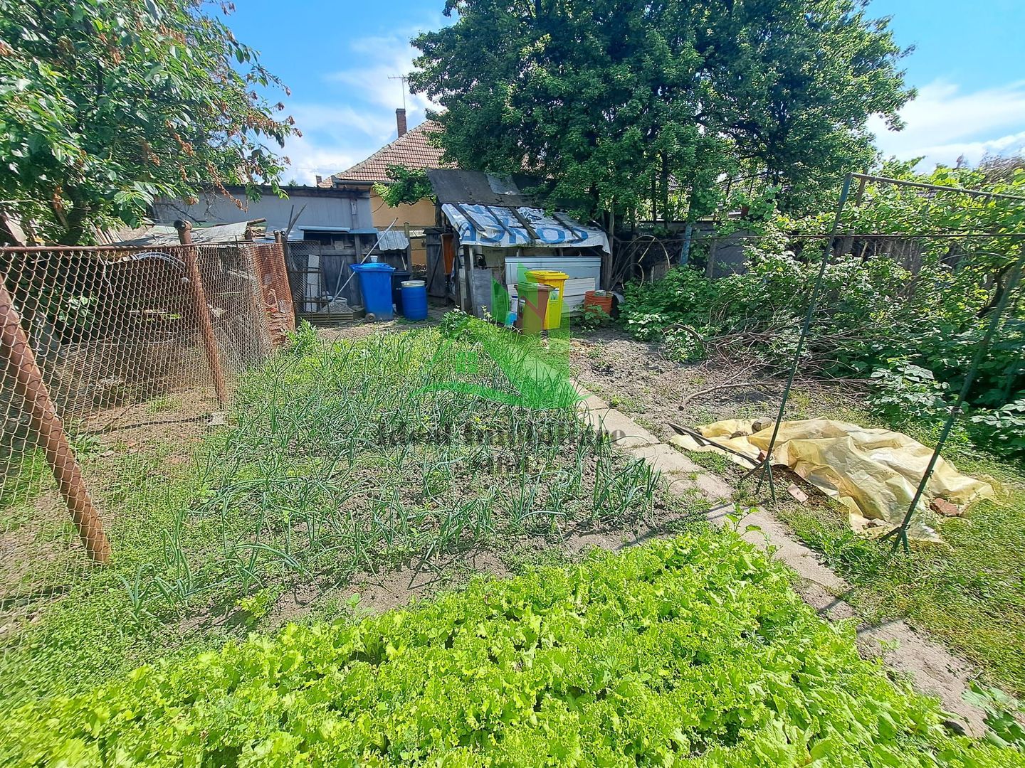 Casa pe un singur nivel cu 342 mp curte, in zona Promenada Mall - Poză 2