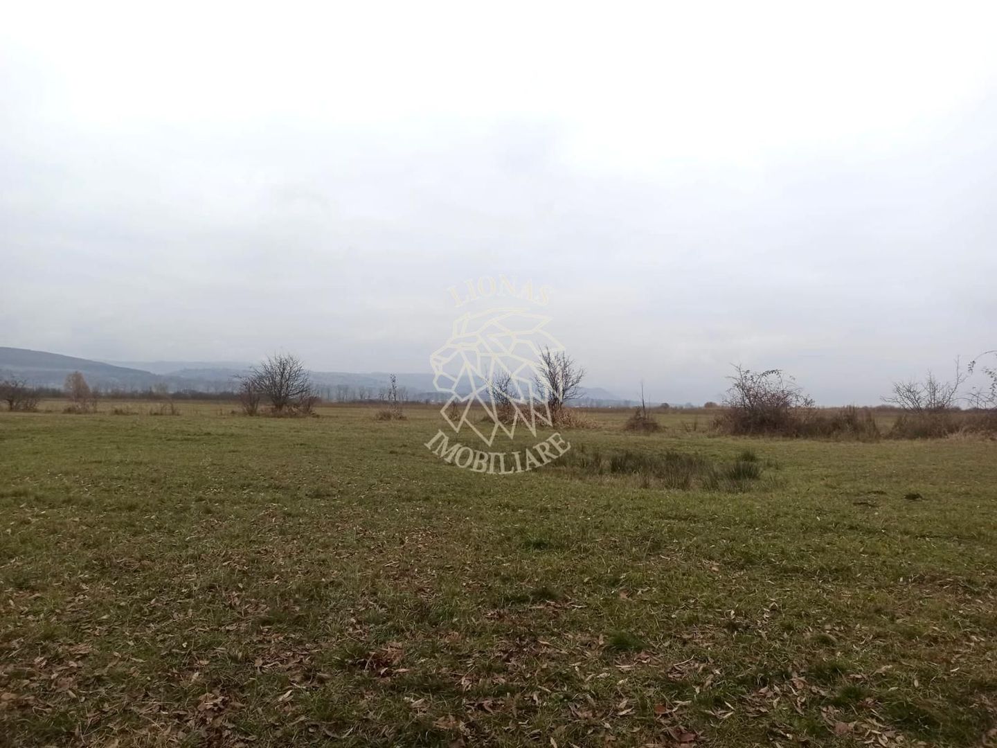 Teren 19611 mp (1,96 Ha)-ideal agricultura, investitie-Zona Aerodrom - Poză 1