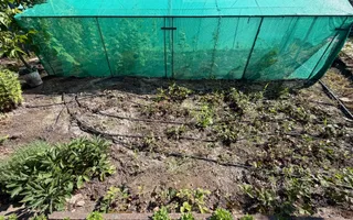 De vânzare lot pentru casă de vacanță- Răzeni, Ialoveni ,La doar câțiva pasi de Lacul Piatihatka - Poză 26
