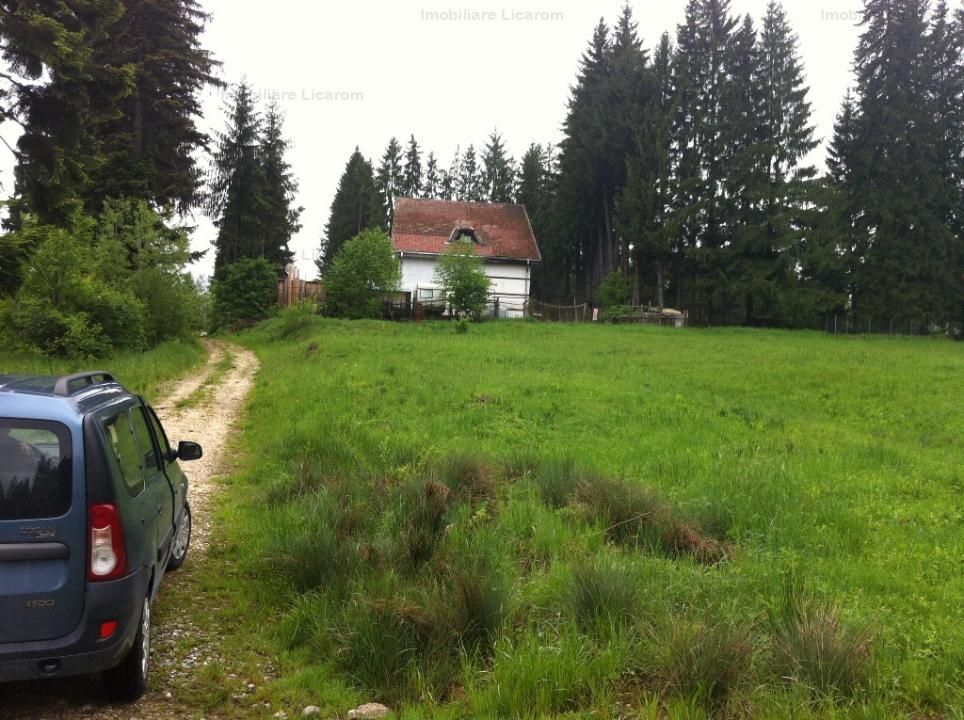 Teren intravilan Cotul Donului,pretabil Hotel/pensiune. - Poză 18