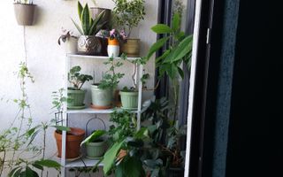 Apartament 2 camere | Vedere panoramică | 2 lifturi | Balcon | Doamna Stanca - Poză 4