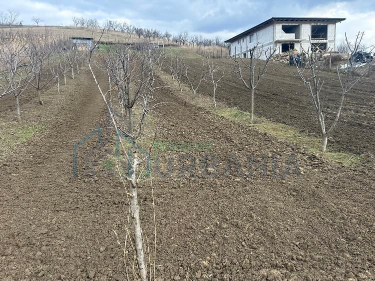 Teren intravilan 1724mp - Poză 1