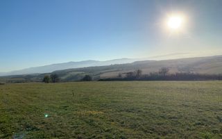 Teren pentru constructie cabana in Dealul Daii-parcele de 650 mp - Poză 3