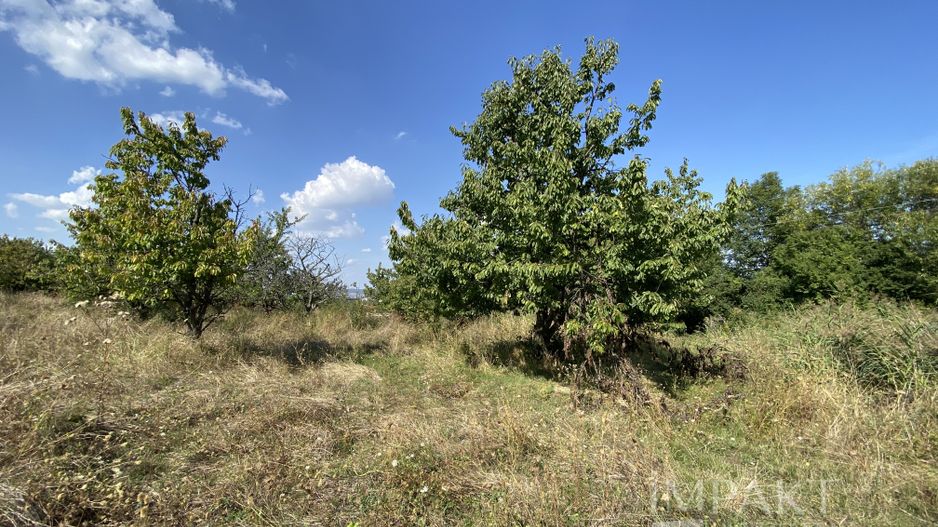 Teren 802 m2 Faget cu PUZ aprobat - Poză 1