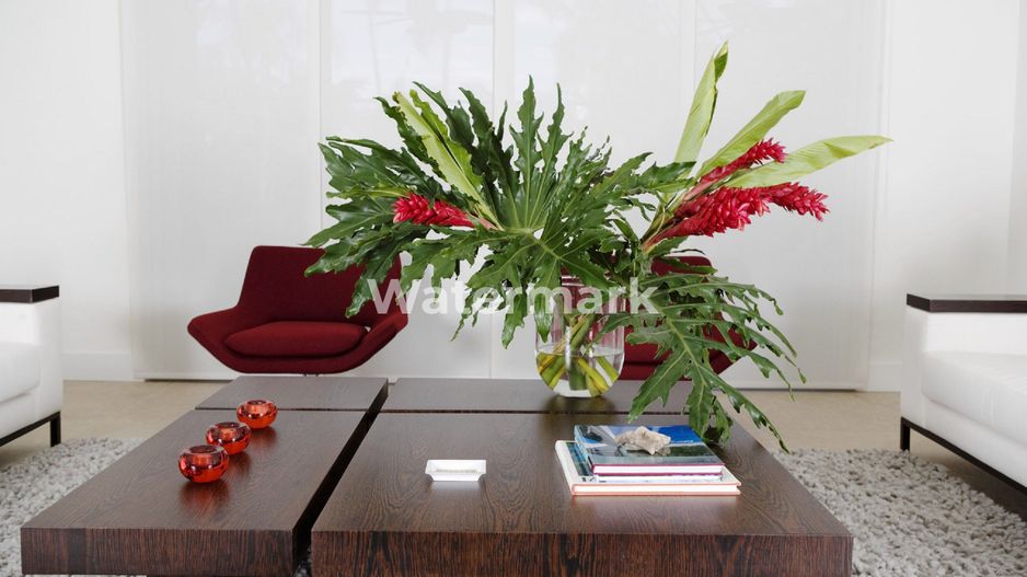 Vila individuala de vanzare in Buna Ziua - Poză 2