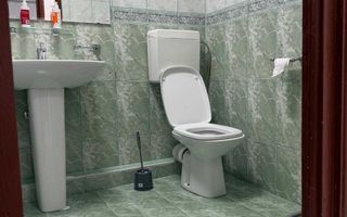 De inchiriat Apartament 2 camere Bld. Ferdinand - Poză 7