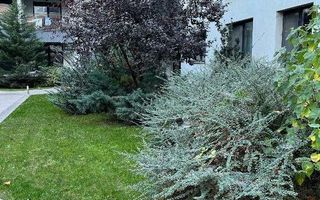 Spacious Apartment for Sale – Nord City, Porsche Pipera/Aviatiei Area - Poză 7