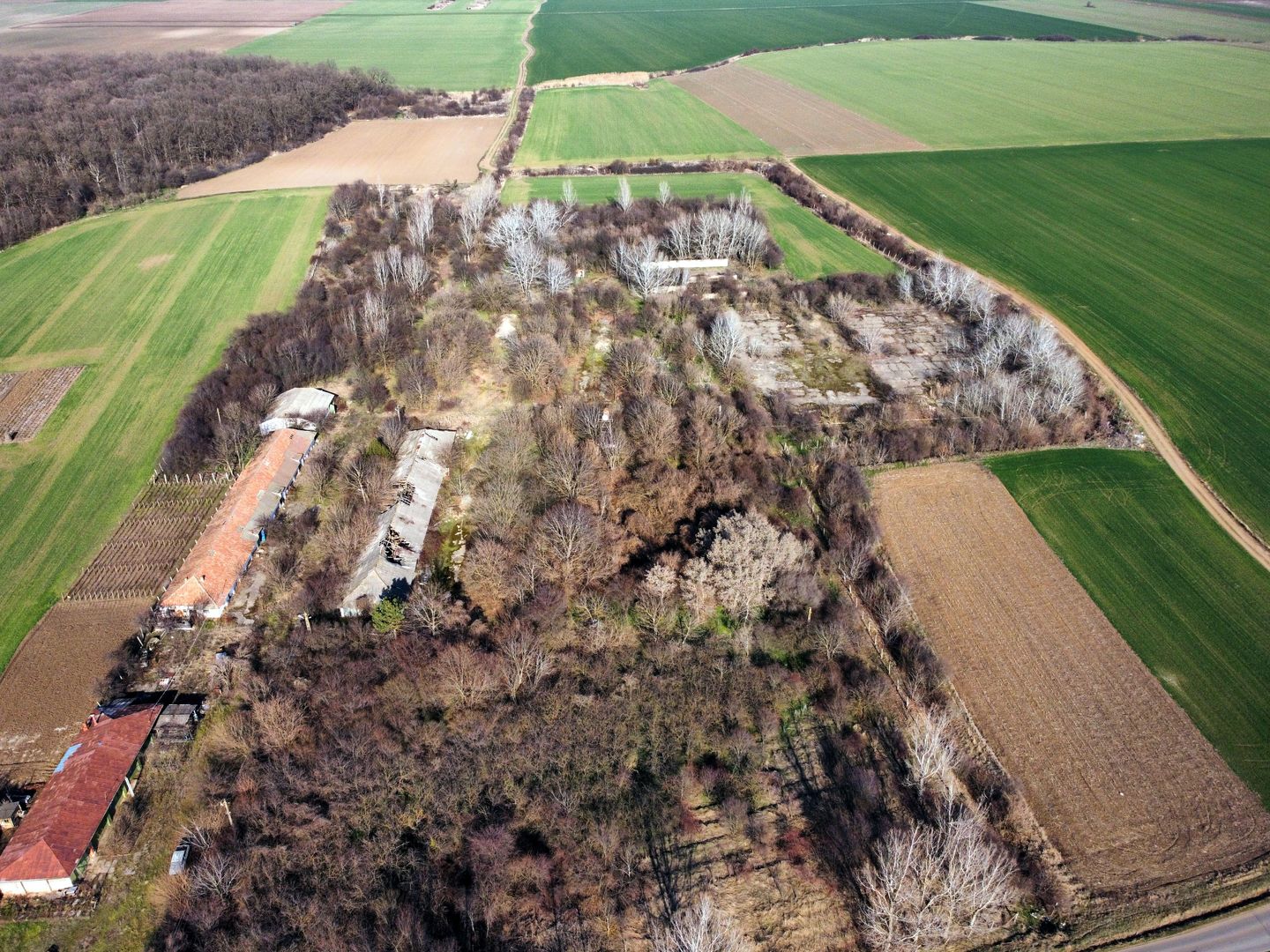 Ferma si livada de meri in judetul Ilfov - Poză 1