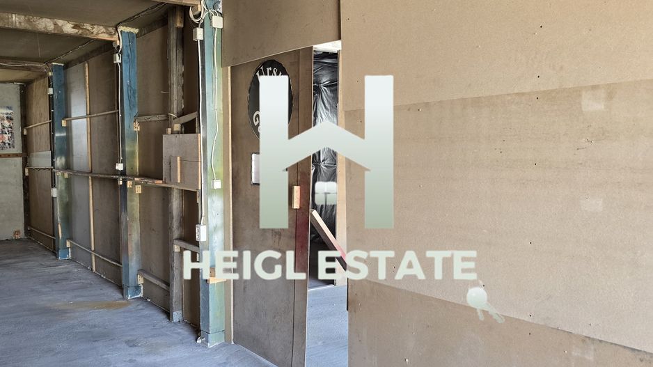 Spatiu Hala Fraidorf pretabil depozitare,vopsitorie, colantari,service - Poză 7