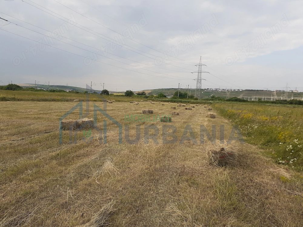 Teren intravilan de 9.000 mp în Miroslava, cu utilități la limită de parcelă - Poză 1