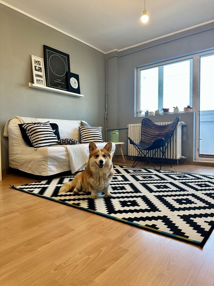 Închiriere Apartament cu 2 camere, Pet Friendly, 2 AC, 7 min metrou Iancului 🏡 - Poză 1