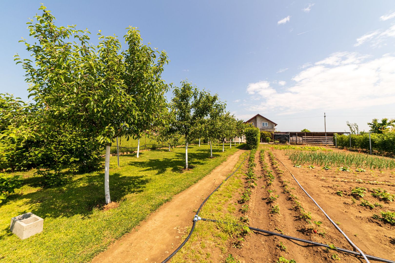 Nou! Casă frumoasă în Sâmbăteni - Poză 25
