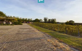 Pivnițele Birăuaș D.O.C Miniș - RATE FĂRĂ DOBÂNDĂ - Poză 32
