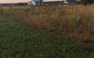 Teren Branesti - Strada Noua - Poză 7