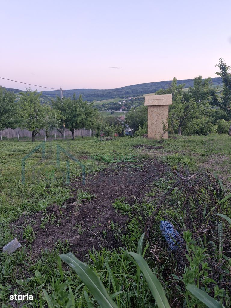 Teren intravilan de vanzare, Chicerea, 740 mp, strada Canarului, Tomesti - Poză 3