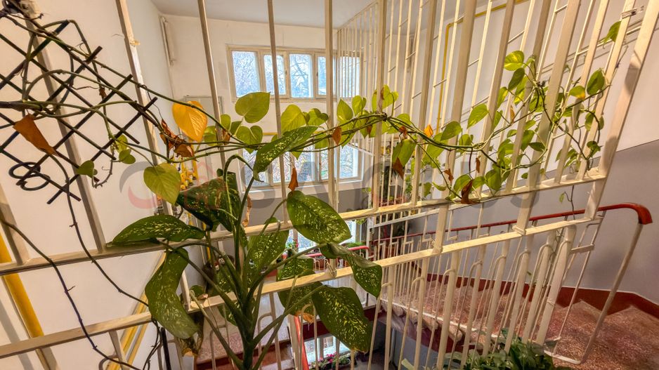 Apartament 3 camere renovat, zona BT Brancusi ! - Poză 13