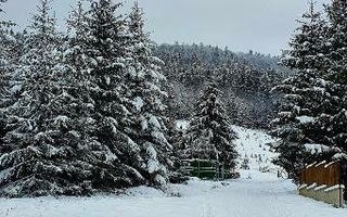 Cabană de vânzare-complet utilată, ideală pentru regim hotelier. - Poză 24