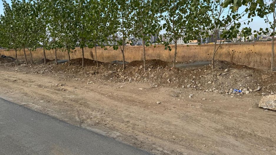 Teren 9400 mp Strada Gura solcii - Poză 11
