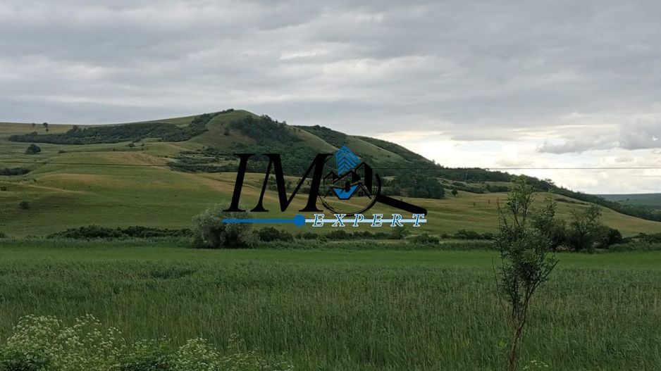 Teren extravilan Drasov - Poză 2