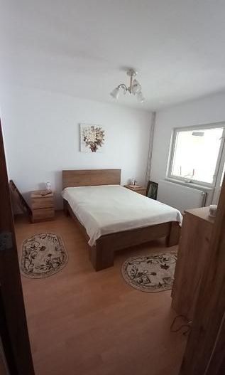 Apartament 3 camere, confort 0, etaj intermediar, Casa de Cultură - Poză 6