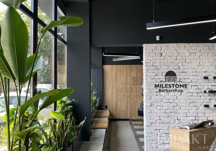 Spatiu comercial + business de vânzare - Poză 3