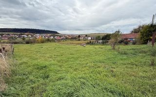 Oportunitate investitie! Teren intravilan, 3496 mp, centru Chinteni - Poză 5