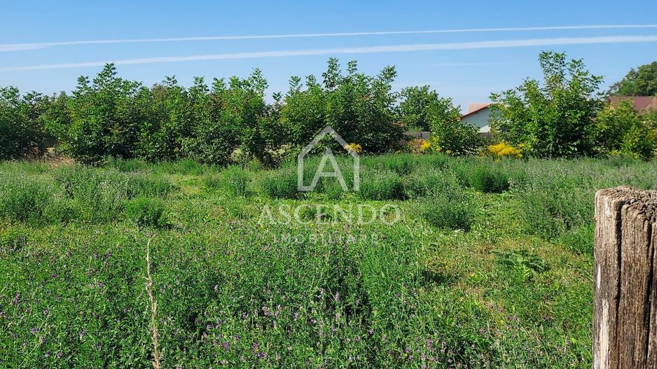 Vanzare teren intravilan 867 mp, Cartierul Stupini, Brașov - Poză 3