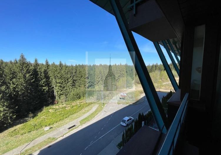 Apartament 2 camere/ Silver Mountain Resort & Spa - Poză 16