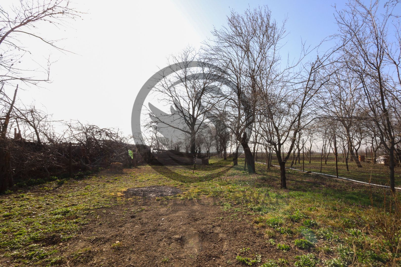 Casa de vanzare | Teren 904 mp | Zalhanaua, Prahova | Comision 0% - Poză 17