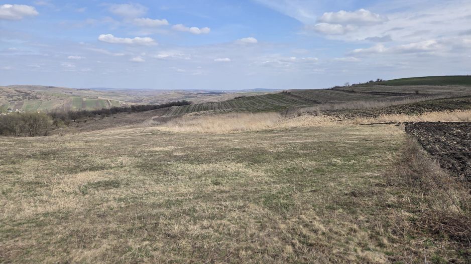 Teren de vanzare Pata Cluj - Poză 4