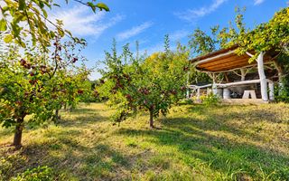 Vila deosebita, moderna, 4 camere, 1242 mp teren, cu panorama, Micesti - Poză 4