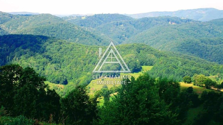 CASĂ și TEREN 85.000 mp – Casa părintească Părintele Arsenie Boca - Poză 5