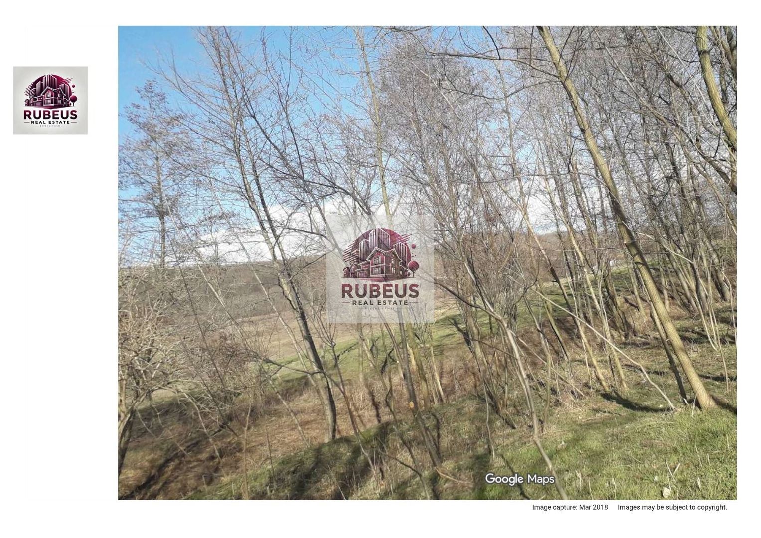 Oportunitate rară! 1 ha pădure Corcova – teren cu potențial real - Poză 2