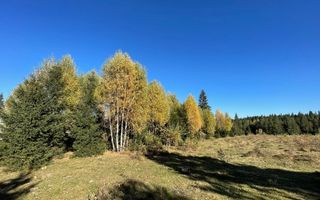 Teren intravilan de 2001 mp în Calatele Padure, comuna Calatele! - Poză 3