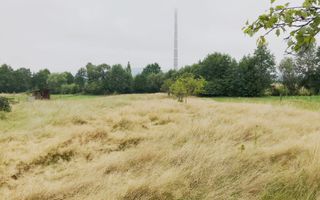 Teren 20 arii extravilan, strada Vrancei - Poză 3