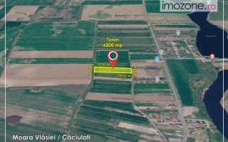 6000 mp, Caciulati - Balotesti, ideal pentru a dezvolta un ansamblu rezidential - Poză 4