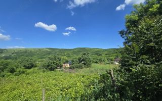 Ansamblu rezidențial cu două case și teren de 1,4 hectare, Bohotin - Poză 3