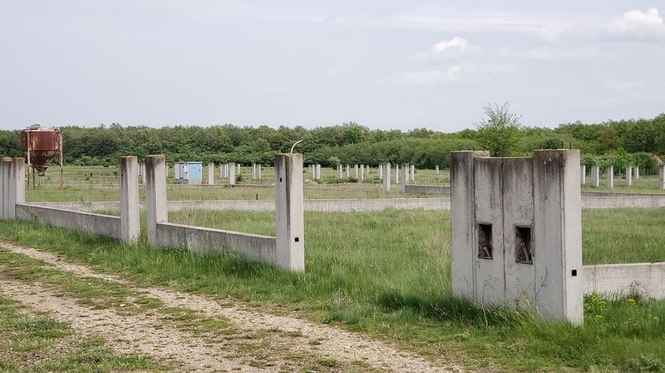 Teren intravilan de vanzare 32 parcele situate in comuna Gepiu, Bihor - Poză 11