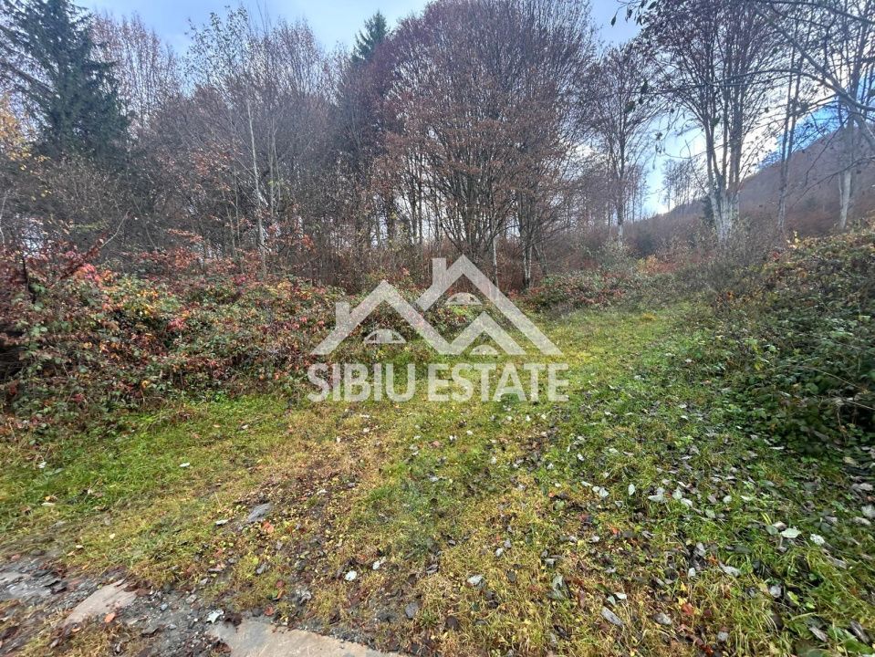 Oportunitate de investiție – Teren pentru hotel / pensiune pe Valea Avrigului - Poză 11