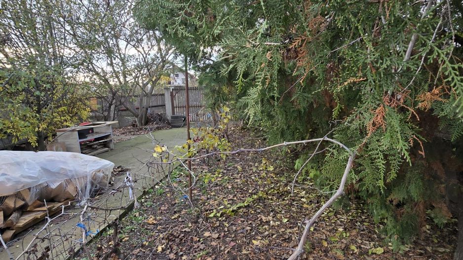 Exclusivitate! Proprietate Sendreni, zona linistita, 69.000 EUR - Poză 14