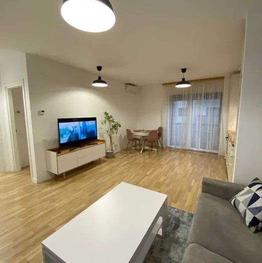 Apartament luminos Domenii - Poză 2